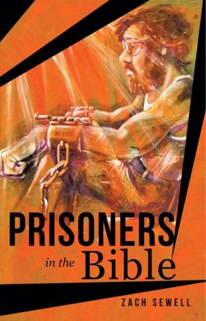 Cover of the book Prisoners in the Bible by Howard Coop