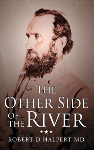 Cover of the book The Other Side of the River by Stuart McAlpine