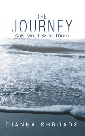 Cover of the book The Journey by Paul Kurts