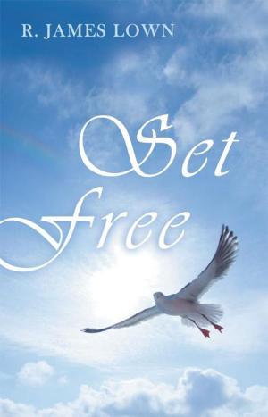 Cover of the book Set Free by Chris Ramsey