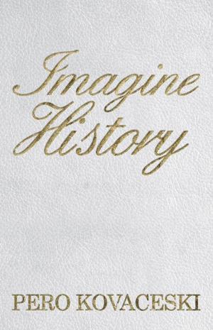 Cover of the book Imagine History by Ellen J. Windham