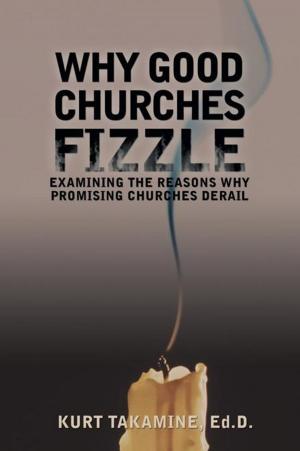 Cover of the book Why Good Churches Fizzle by Maria Goodwin