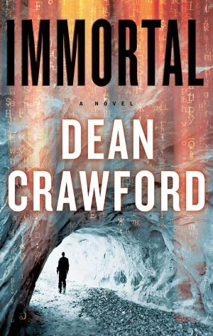 Cover of the book Immortal by Brandon Graham