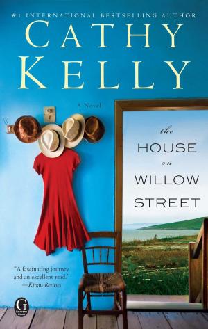 Cover of the book The House on Willow Street by Suzanne Frank