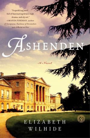 Cover of the book Ashenden by Lisa Lutz