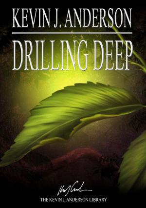 Book cover of Drilling Deep