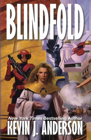 Cover of the book Blindfold by Rebecca Moesta, Kevin J. Anderson, June Scobee Rodgers