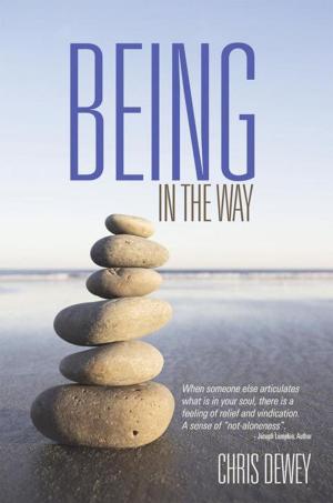 Cover of the book Being in the Way by Jeri K. Tory Conklin