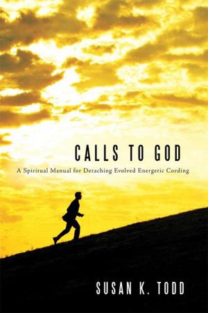Cover of the book Calls to God by Balin A. Durr
