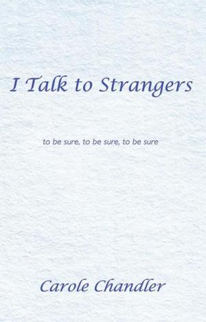 Cover of the book I Talk to Strangers by Cindi Johnston