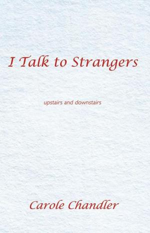 Cover of the book I Talk to Strangers by Carmen Chammas