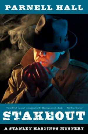 Cover of the book Stakeout by Ian McFadyen