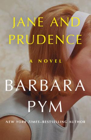 Cover of the book Jane and Prudence by Elizabeth Lane