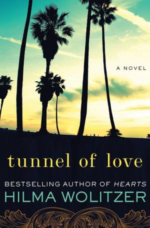 Cover of the book Tunnel of Love by Jacqueline M. Sinclair, Geri Glenn