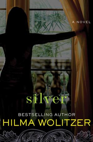 Cover of the book Silver by Brett Halliday