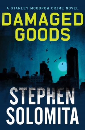 Cover of the book Damaged Goods by Jude Liebermann