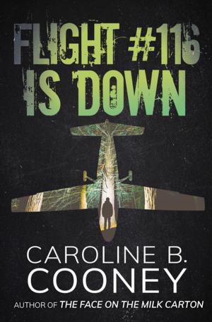 Cover of the book Flight #116 Is Down by Ann Hood