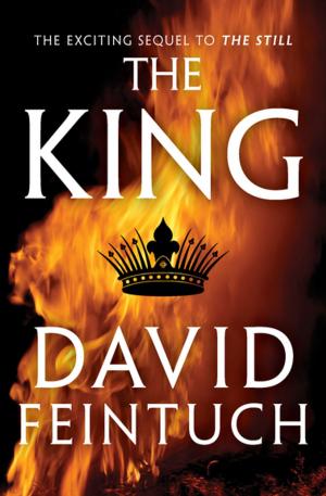 Cover of the book The King by F. SANTINI
