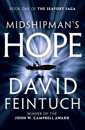 Cover of the book Midshipman's Hope by Phyllis Irene Radford