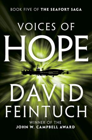 Cover of the book Voices of Hope by Lynne Sharon Schwartz