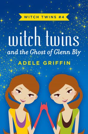 Cover of the book Witch Twins and the Ghost of Glenn Bly by Oisín McGann