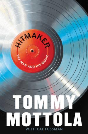 Cover of the book Hitmaker by Marilyn Pappano