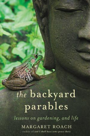 Cover of the book The Backyard Parables by Sandra Brown