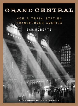 Book cover of Grand Central