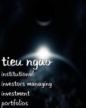 bigCover of the book Institutional Investors Managing Investment Portfolios by 