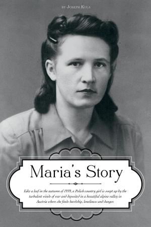 Cover of the book Maria's Story by c.j. morgan