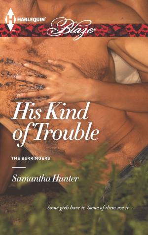 Cover of the book His Kind of Trouble by Emma Darcy