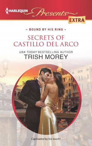 Cover of the book Secrets of Castillo del Arco by Tara Taylor Quinn