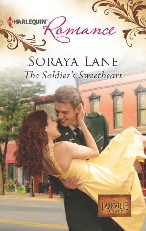 bigCover of the book The Soldier's Sweetheart by 