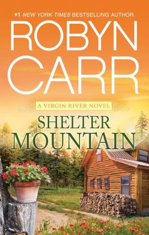 Cover of the book Shelter Mountain by Rick Mofina