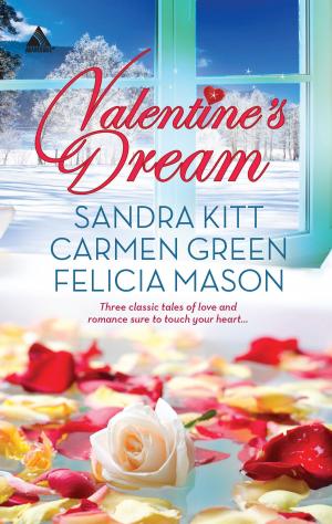 Book cover of Valentine's Dream