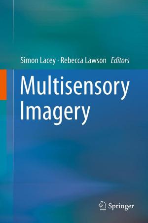 Cover of the book Multisensory Imagery by Zhihua Wang, Hanjun Jiang, Hong Chen