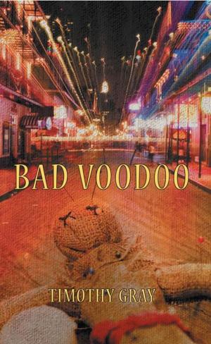Cover of the book Bad Voodoo by Susan Barber
