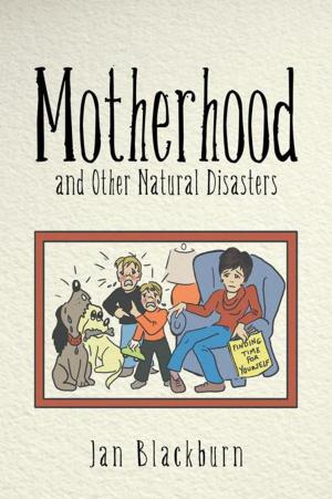 Cover of the book Motherhood and Other Natural Disasters by Allen Yung, Denis Spelman, Alan Street