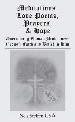 Cover of the book Meditations, Love Poems, Prayers, and Hope by Dennis Wayne Schroll