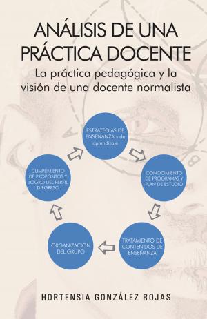 Cover of the book Análisis De Una Práctica Docente by DR. ADALBERTO GARCÍA DE MENDOZA