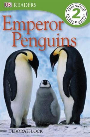 Book cover of DK Readers L2: Emperor Penguins