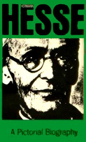 Cover of the book Hermann Hesse by Sadakat Kadri