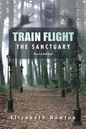 Cover of the book Train Flight by Satish C. Bhatnagar