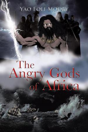 Cover of the book The Angry Gods of Africa by James W. Hoddinott