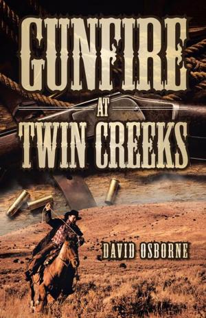 Book cover of Gunfire at Twin Creeks