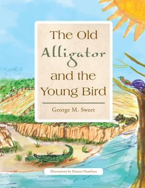 Cover of the book The Old Alligator and the Young Bird by TAVA MAREMBO