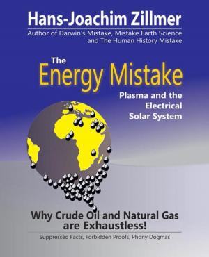 Cover of the book The Energy Mistake by Larisa Seklitova, Ludmila Strelnikova