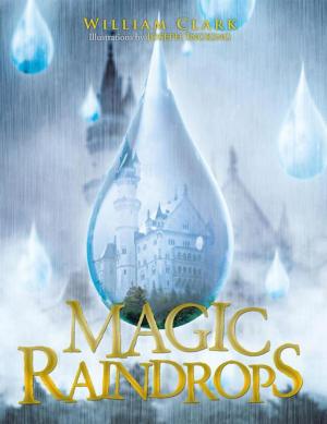 Cover of the book Magic Raindrops by Anne Short.Ph.D.