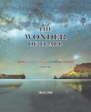 Cover of the book The Wonder of It All by Tonya Farnsworth McKiever