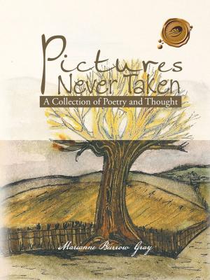 Cover of the book Pictures Never Taken by Lindsay Boyd
